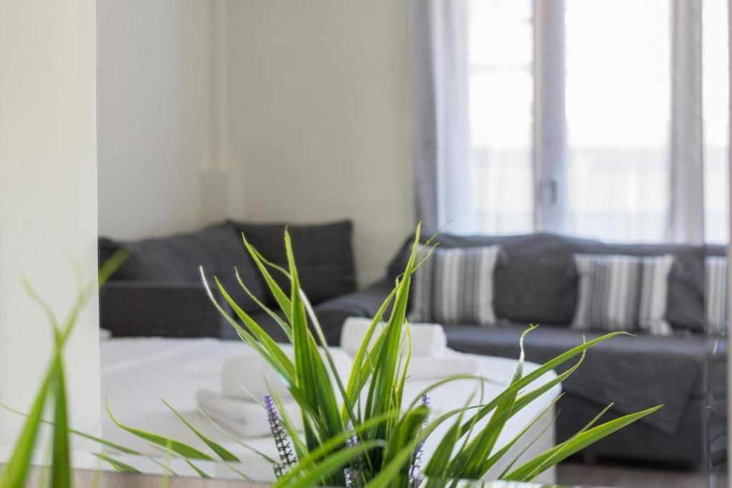 Lovely Studio Apartment For 2 Ppl In Atenas Exterior foto